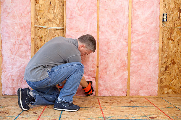 Best Insulation for Specific Applications in Longbranch, WA